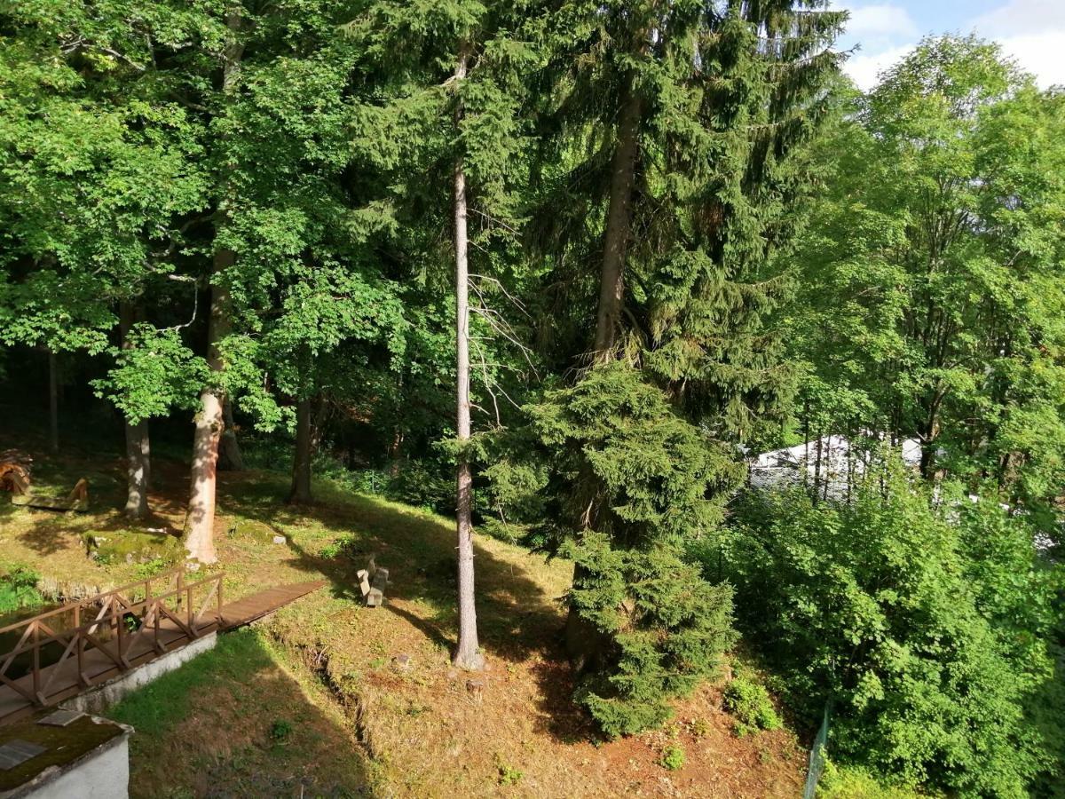 Parkhotel Forest Marianske Lazne Bagian luar foto